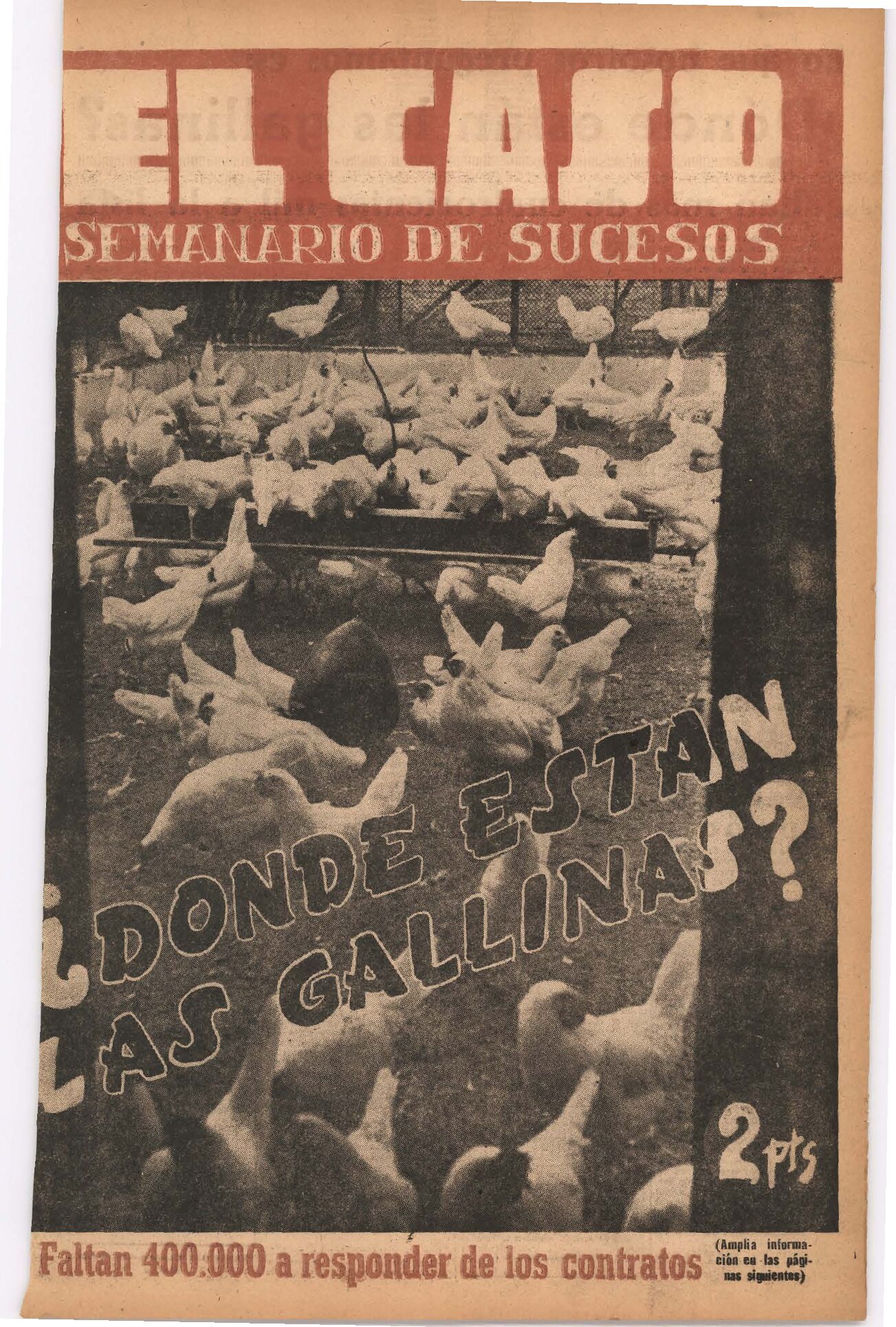 Faltan cuatrocientas mil gallinas