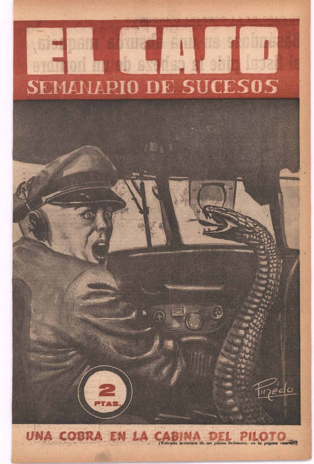 El piloto descubrió en la cabina una terrible serpiente venenosa