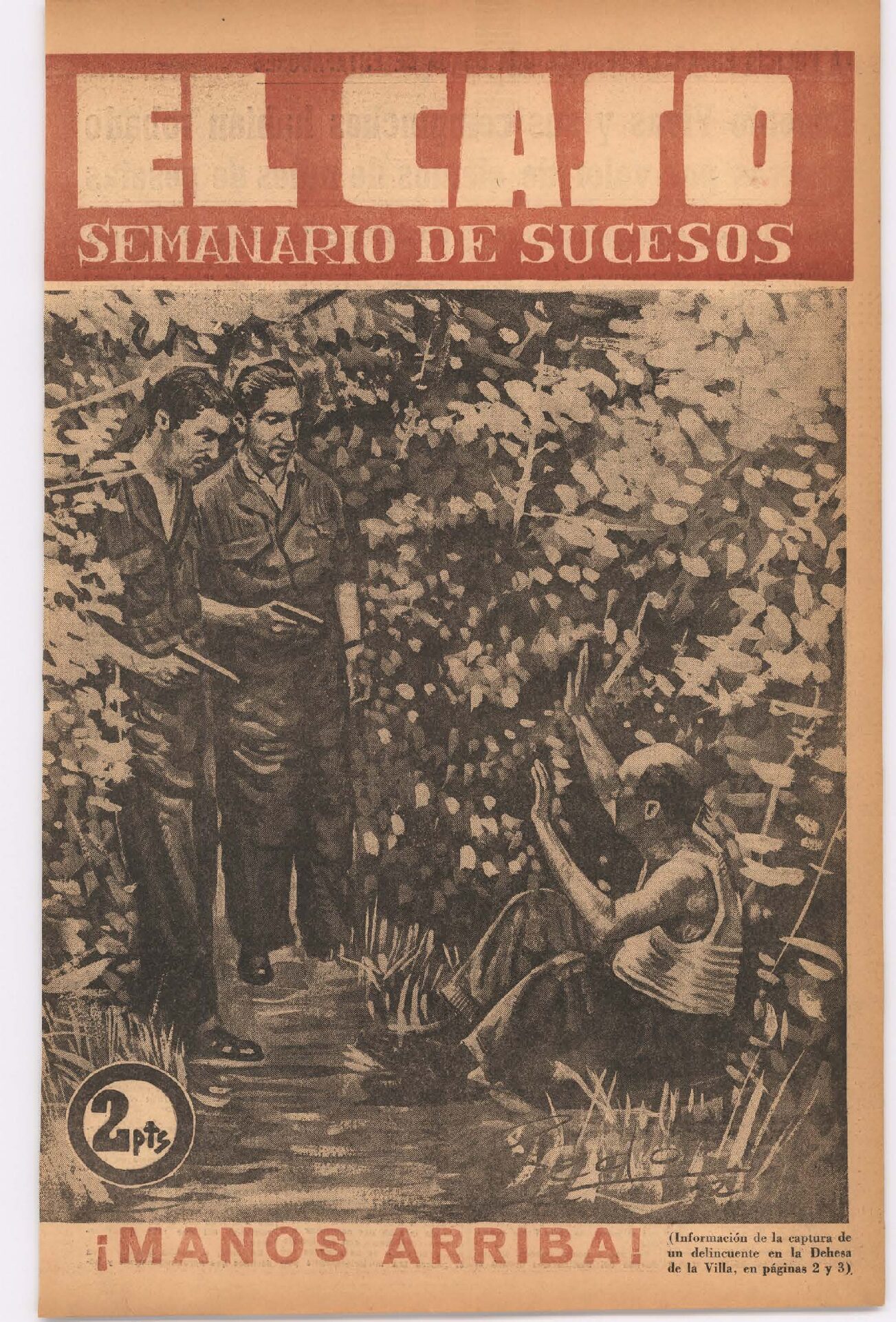 Vivía oculto en unos matorrales